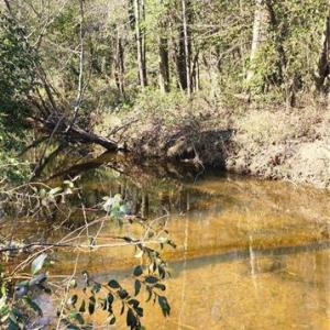 Photo #14 of LOT 6 St Andrews Church, Sanford, NC 2.5 acres