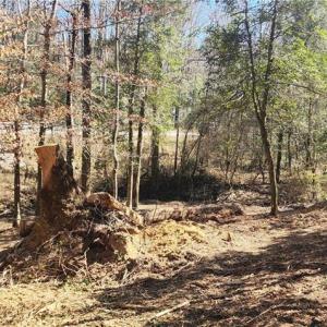 Photo #15 of LOT 6 St Andrews Church, Sanford, NC 2.5 acres