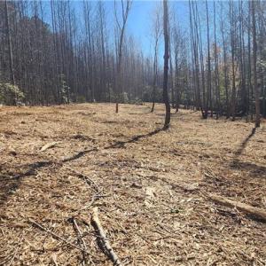 Photo #4 of LOT 6 St Andrews Church, Sanford, NC 2.5 acres