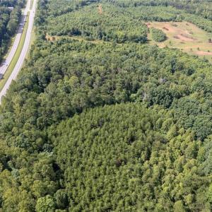 Photo #6 of Highway 220, Stoneville, NC 45.7 acres