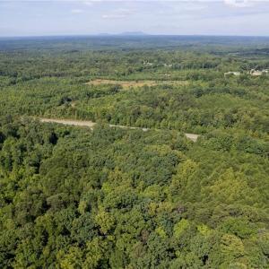 Photo #1 of Highway 220, Stoneville, NC 45.7 acres