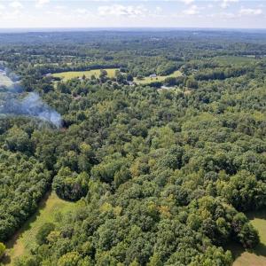 Photo #4 of Highway 220, Stoneville, NC 45.7 acres