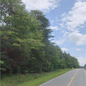 Great road frontage