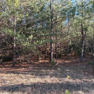 Photo #6 of Old Nc Highway 13, Asheboro, NC 66.9 acres