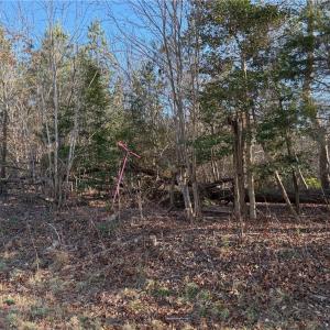 Photo #7 of Old Nc Highway 13, Asheboro, NC 66.9 acres