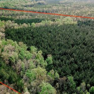 Photo #3 of Old Nc Highway 13, Asheboro, NC 66.9 acres