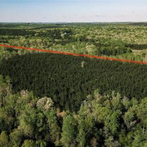 Photo #10 of Old Nc Highway 13, Asheboro, NC 66.9 acres