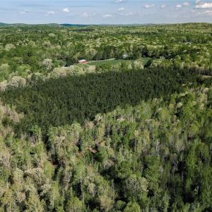 Photo #14 of Old Nc Highway 13, Asheboro, NC 66.9 acres