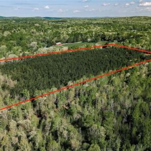Photo #11 of Old Nc Highway 13, Asheboro, NC 66.9 acres