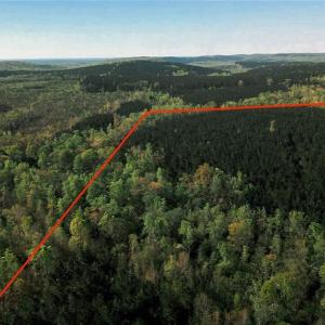 Photo #4 of Old Nc Highway 13, Asheboro, NC 66.9 acres