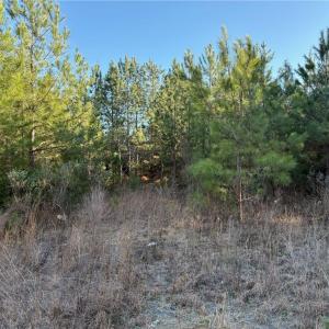 Photo #9 of Old Nc Highway 13, Asheboro, NC 66.9 acres