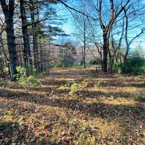 Photo #6 of TBD Overlook, Galax, VA 1.0 acres