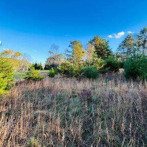 Photo #7 of TBD Overlook, Galax, VA 1.0 acres