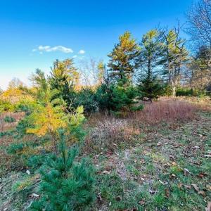 Photo #3 of TBD Overlook, Galax, VA 1.0 acres