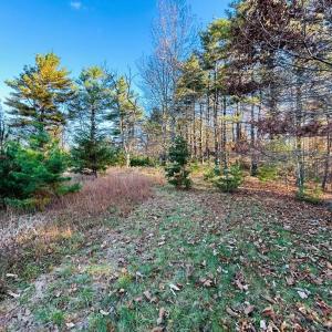 Photo #5 of TBD Overlook, Galax, VA 1.0 acres