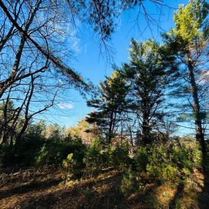 Photo #9 of TBD Overlook, Galax, VA 1.0 acres