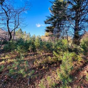 Photo #10 of TBD Overlook, Galax, VA 1.0 acres
