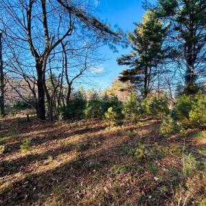 Photo #11 of TBD Overlook, Galax, VA 1.0 acres