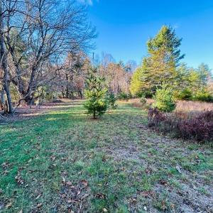 Photo #4 of TBD Overlook, Galax, VA 1.0 acres