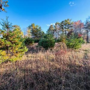 Photo #8 of TBD Overlook, Galax, VA 1.0 acres