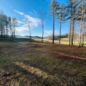 Photo #6 of TBD Manor House, Laurel Fork, VA 0.5 acres
