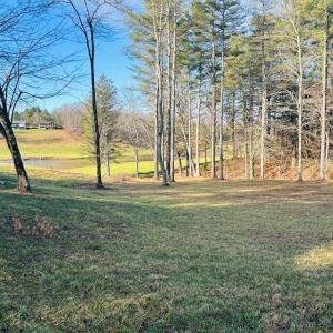 Photo #13 of TBD Manor House, Laurel Fork, VA 0.5 acres