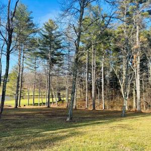 Photo #17 of TBD Manor House, Laurel Fork, VA 0.5 acres
