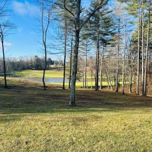 Photo #16 of TBD Manor House, Laurel Fork, VA 0.5 acres