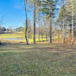 Photo #12 of TBD Manor House, Laurel Fork, VA 0.5 acres