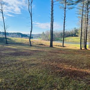 Photo #7 of TBD Manor House, Laurel Fork, VA 0.5 acres