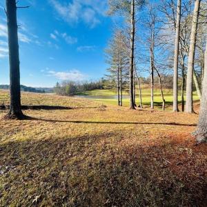 Photo #1 of TBD Manor House, Laurel Fork, VA 0.5 acres