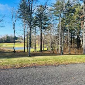 Photo #20 of TBD Manor House, Laurel Fork, VA 0.5 acres
