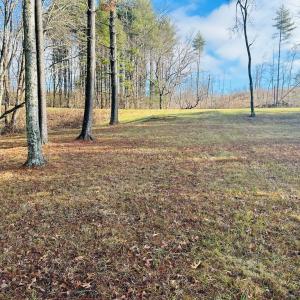 Photo #9 of TBD Manor House, Laurel Fork, VA 0.5 acres
