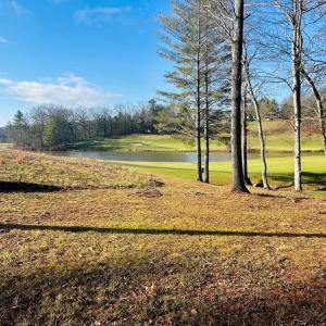 Photo #10 of TBD Manor House, Laurel Fork, VA 0.5 acres