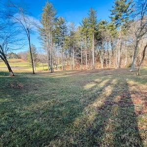Photo #14 of TBD Manor House, Laurel Fork, VA 0.5 acres