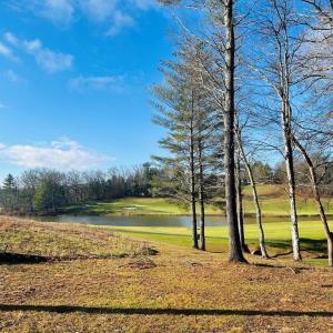 Photo #18 of TBD Manor House, Laurel Fork, VA 0.5 acres