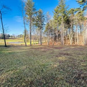 Photo #11 of TBD Manor House, Laurel Fork, VA 0.5 acres