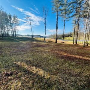 Photo #8 of TBD Manor House, Laurel Fork, VA 0.5 acres