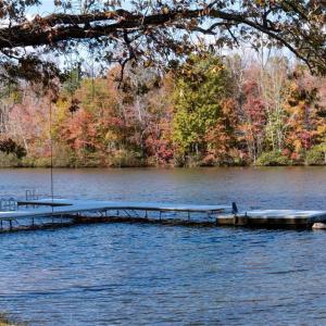 Photo #8 of 8013 Duck Pond, Browns Summit, NC 1.1 acres