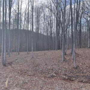 Photo #3 of 6455 Reubens Ridge, Winston-Salem, NC 5.5 acres