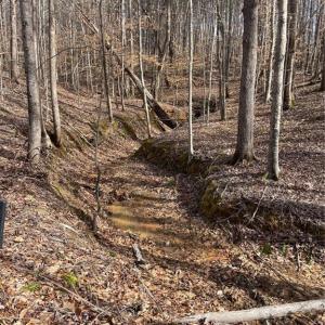 Photo #5 of 6455 Reubens Ridge, Winston-Salem, NC 5.5 acres