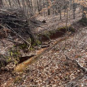 Photo #4 of 6455 Reubens Ridge, Winston-Salem, NC 5.5 acres