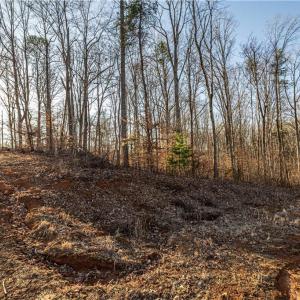 Photo #3 of 7607 Skippers, Oak Ridge, NC 1.0 acres
