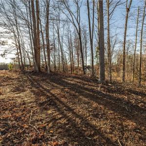 Photo #5 of 7607 Skippers, Oak Ridge, NC 1.0 acres