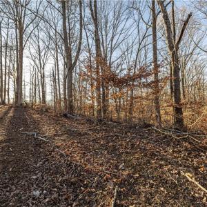 Photo #4 of 7607 Skippers, Oak Ridge, NC 1.0 acres