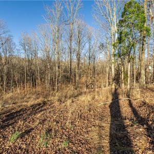 Photo #8 of 7607 Skippers, Oak Ridge, NC 1.0 acres