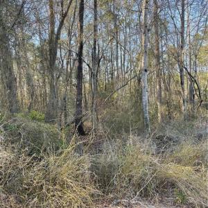 Photo #2 of Quiet Oak, Carthage, NC 6.8 acres