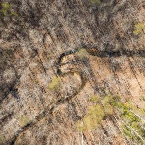 Photo #6 of 74.83 Windy Hill, Westfield, NC 74.8 acres