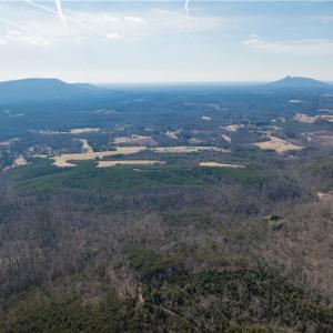 Photo #13 of 74.83 Windy Hill, Westfield, NC 74.8 acres
