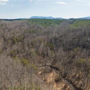 Photo #16 of 74.83 Windy Hill, Westfield, NC 74.8 acres